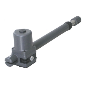 Leader3 motor
